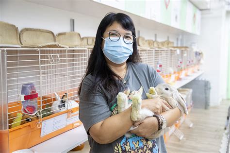 兔子受傷|香港兔友協會